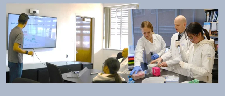 presentation by undegrads